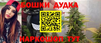 индика Севастополь