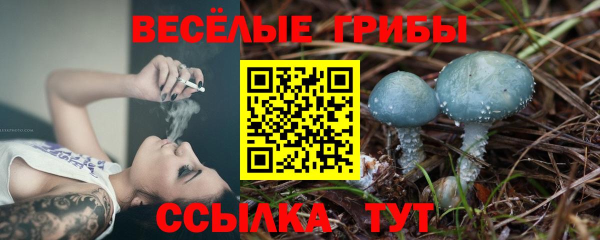 Галлюциногенные грибы мухоморы Миллерово
